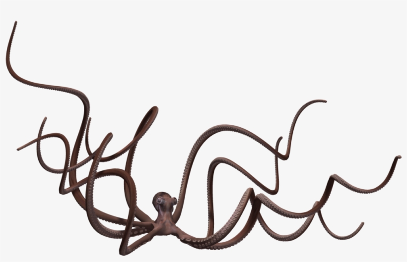 Giant Octopus 01 By Wolverine041269 On Deviantart - Giant Octopuses, transparent png