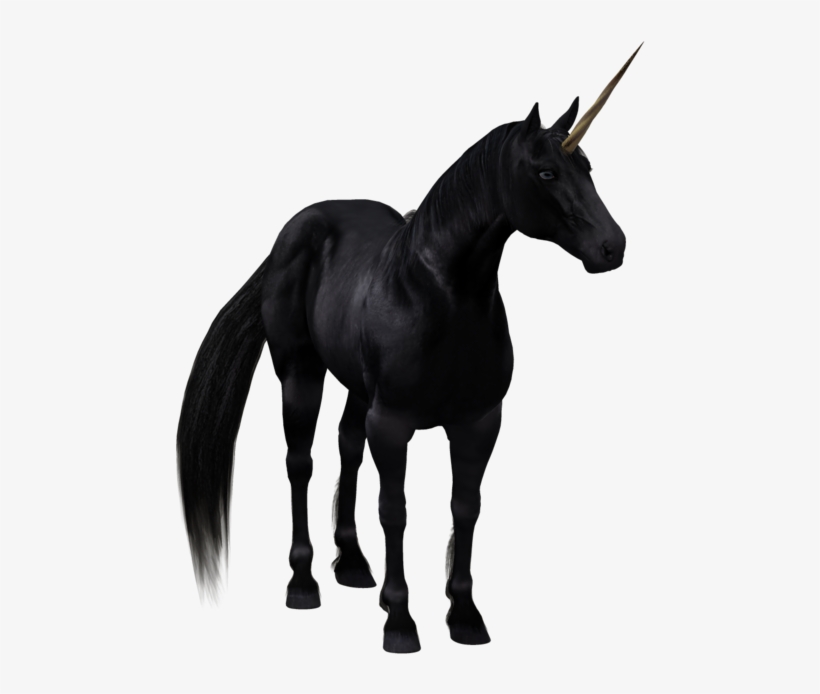 The Black Horse Background Transprent Png - Black Unicorn With No Background, transparent png