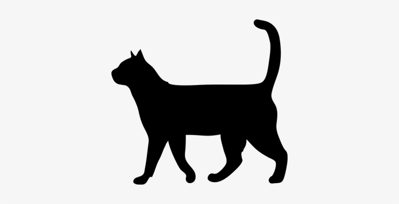 Cat Animal The Silhouette Outside Domestic - Cat Silhouette, transparent png