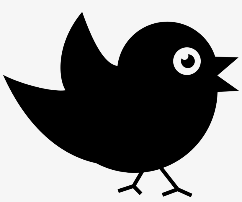 Bird Of Black Feathers Comments - Pajarito Blanco Y Negro, transparent png