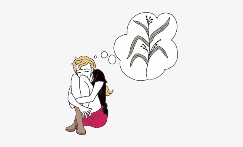 Job's Tears, transparent png