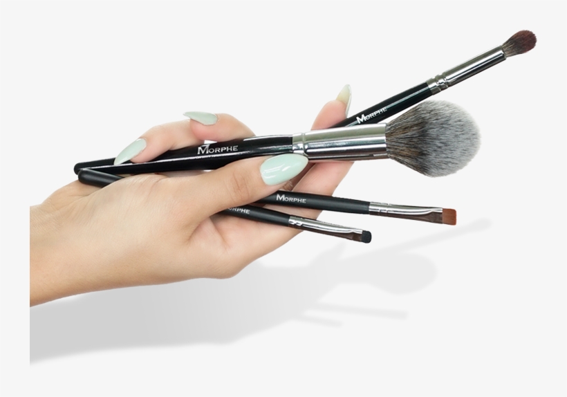 Morpheme - Brush Make Up Png, transparent png