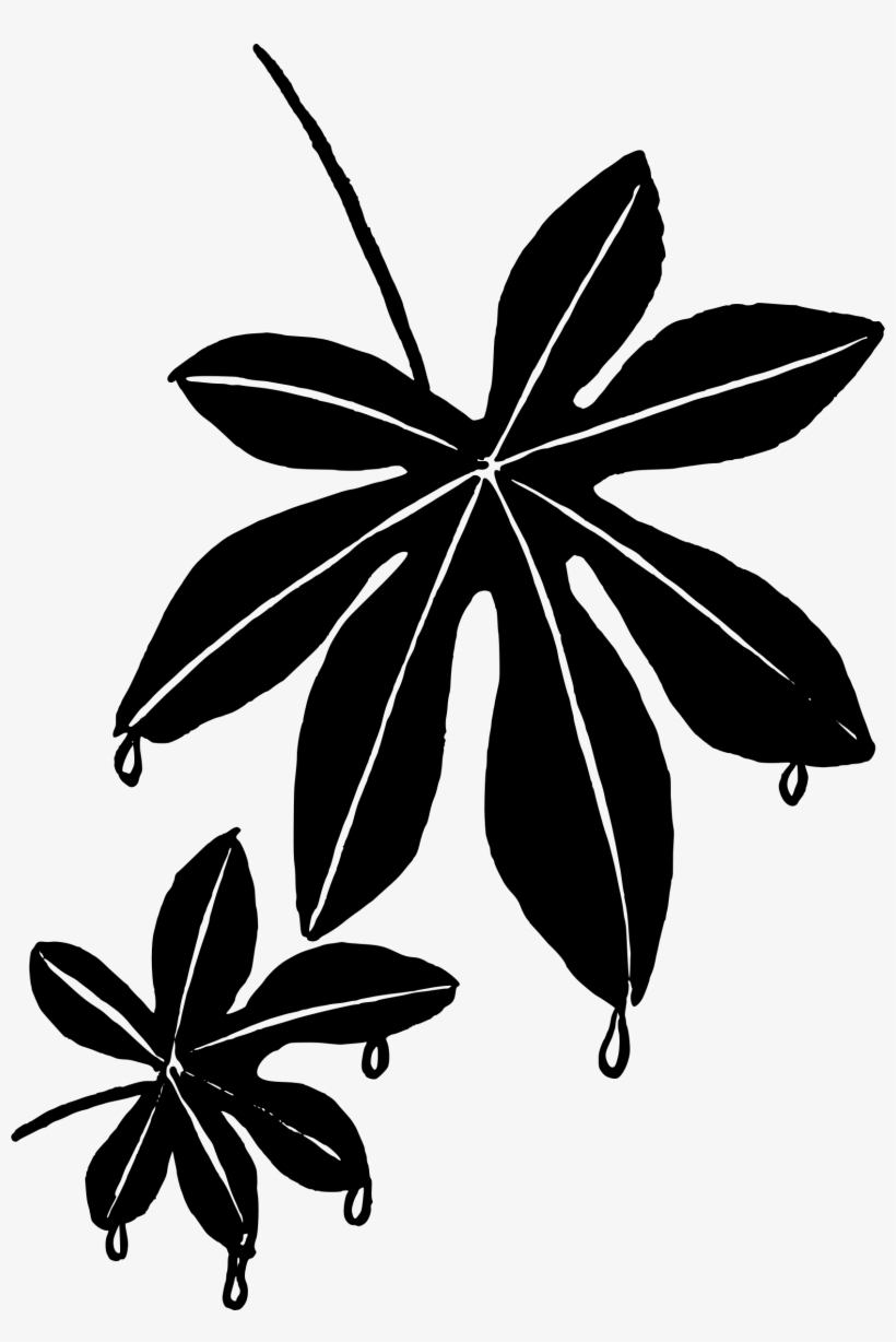 This Free Icons Png Design Of Leaf Drip, transparent png