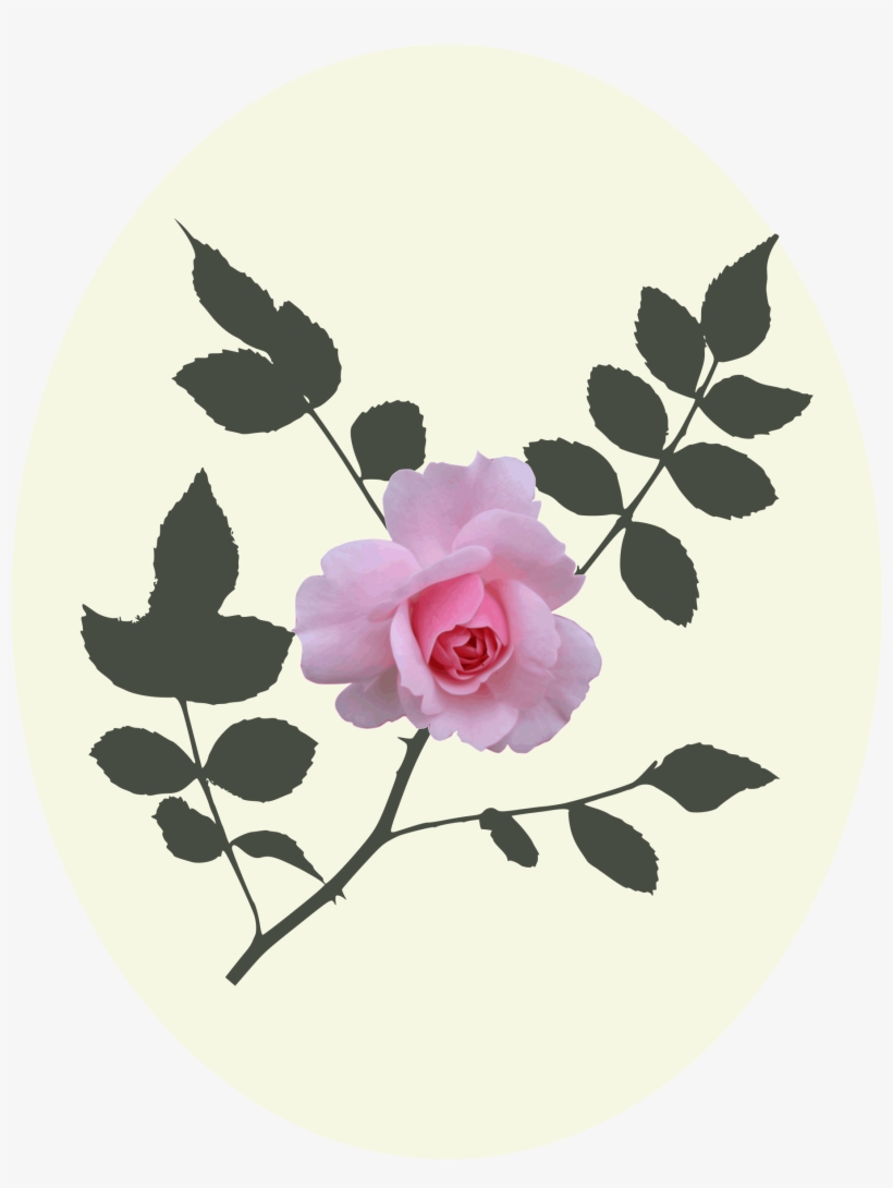 Big Image - Rose, transparent png