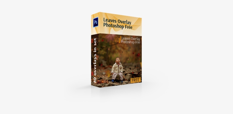 Leaves Overlay Photoshop Free Cover Box - Herbst-farben, Dankbares Foto Kissen, transparent png