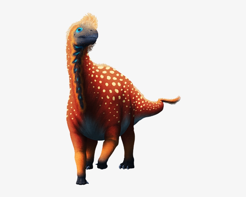 Zby, transparent png