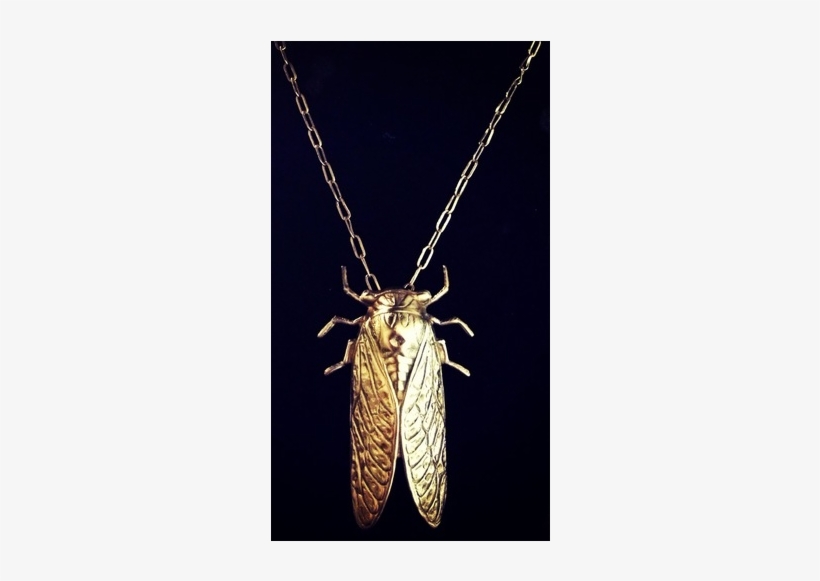 Cicada Necklace, transparent png