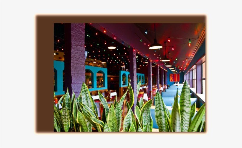 Live Mariachi Band @ Dos Comales - Floral Design, transparent png