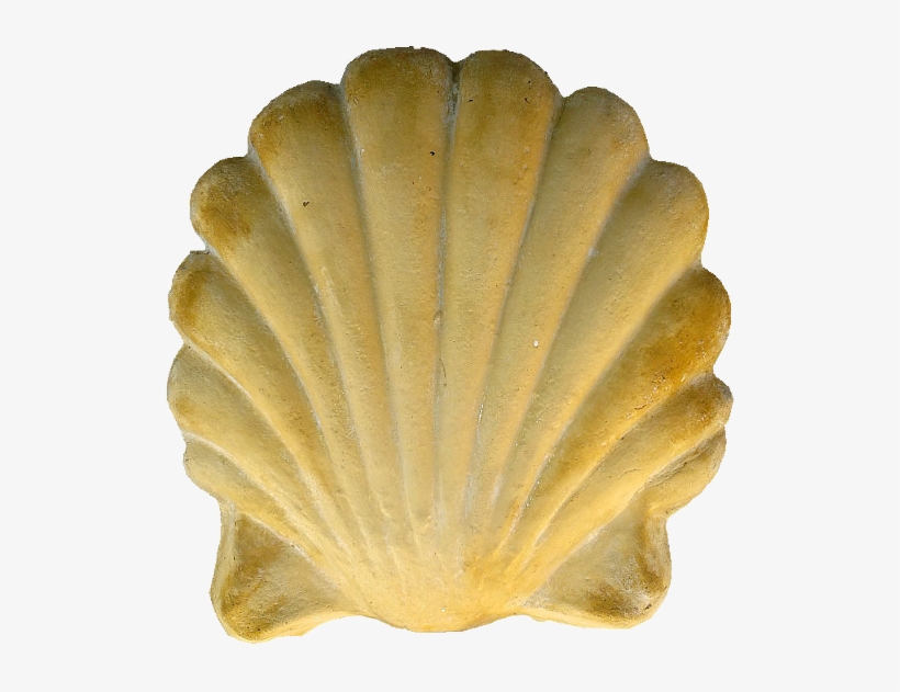 Concha En Hormigón Prefabricado - Concrete, transparent png