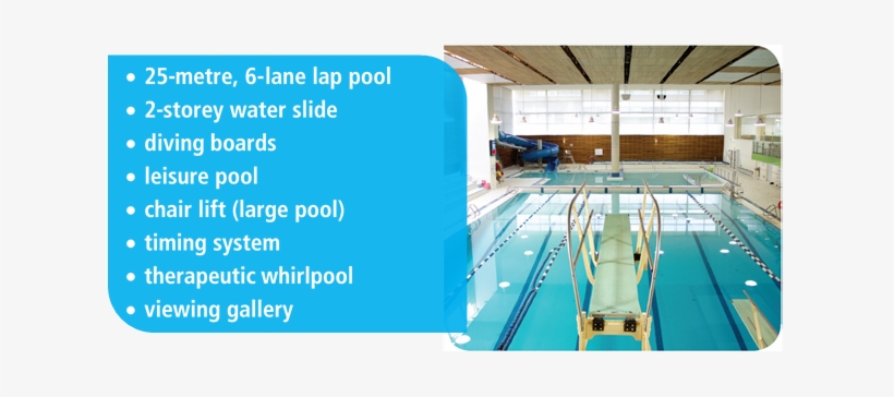 Swim & Aquafitness Schedule - Swimming Pool Timmeing Systems, transparent png