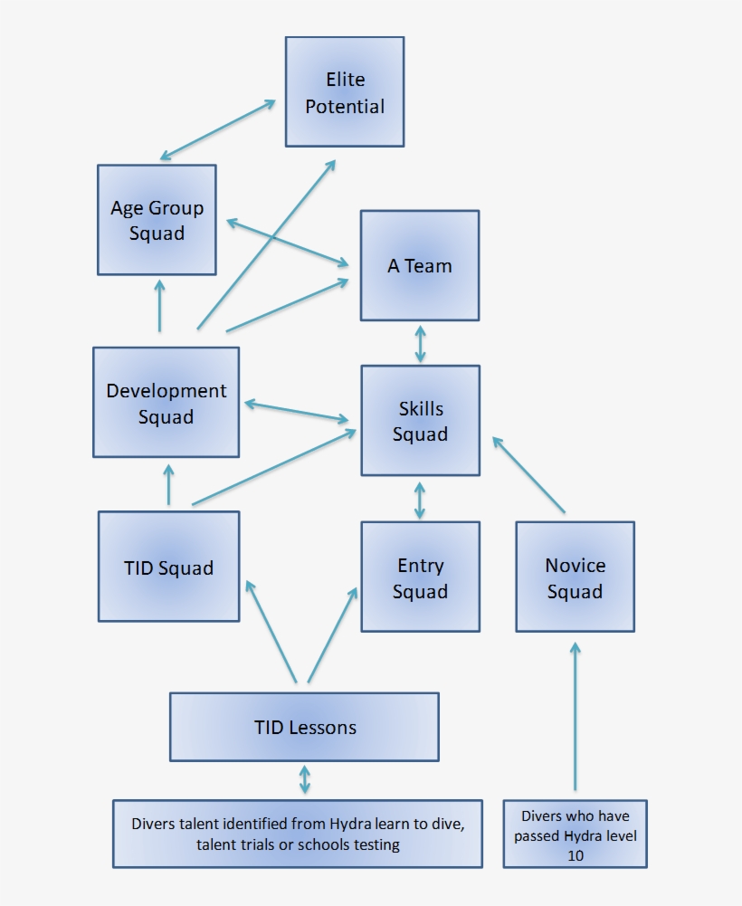 If You Would Like To Book Onto A Course Of Diving Lessons - Diagram, transparent png