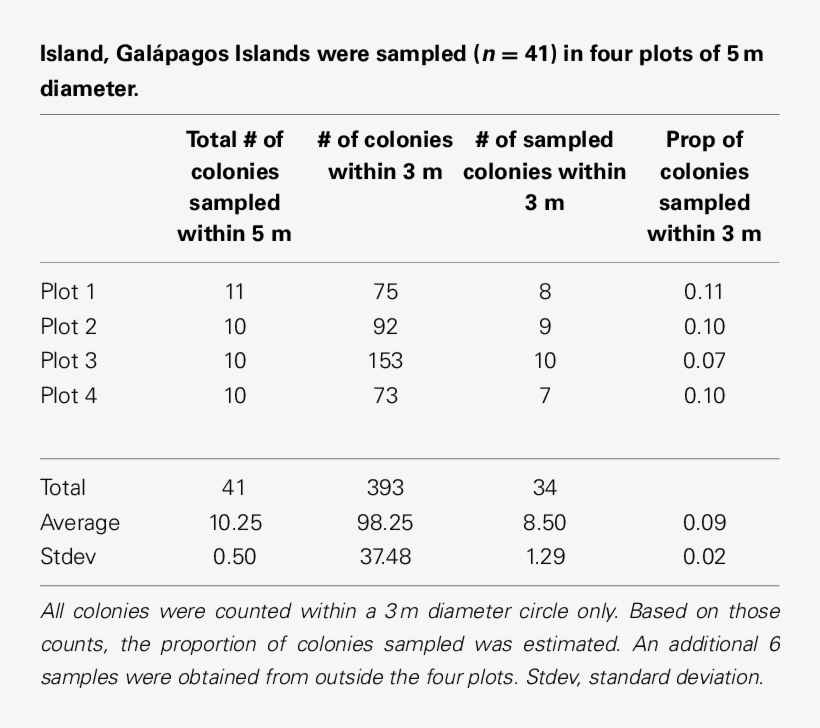 Pocillopora Colonies In The Concha Y Perla Lagoon On - Number, transparent png