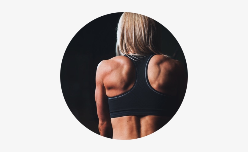 Woman Back Circle - Dumbbell Exercises-shoulders Amp Arms Laminated Posterchart, transparent png