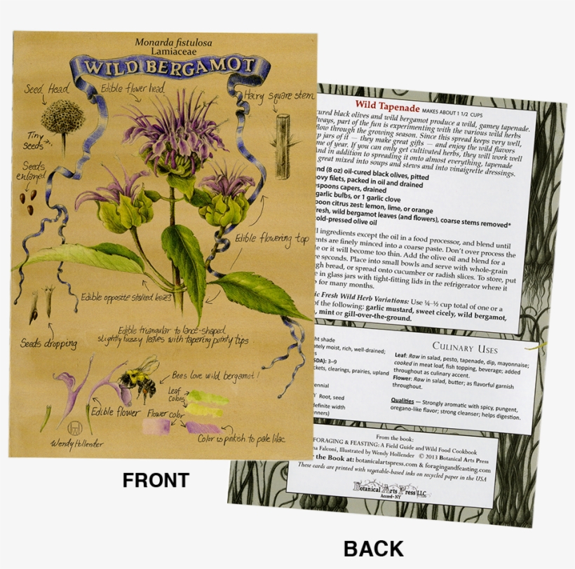 Plant Identification/recipe Note Card, transparent png
