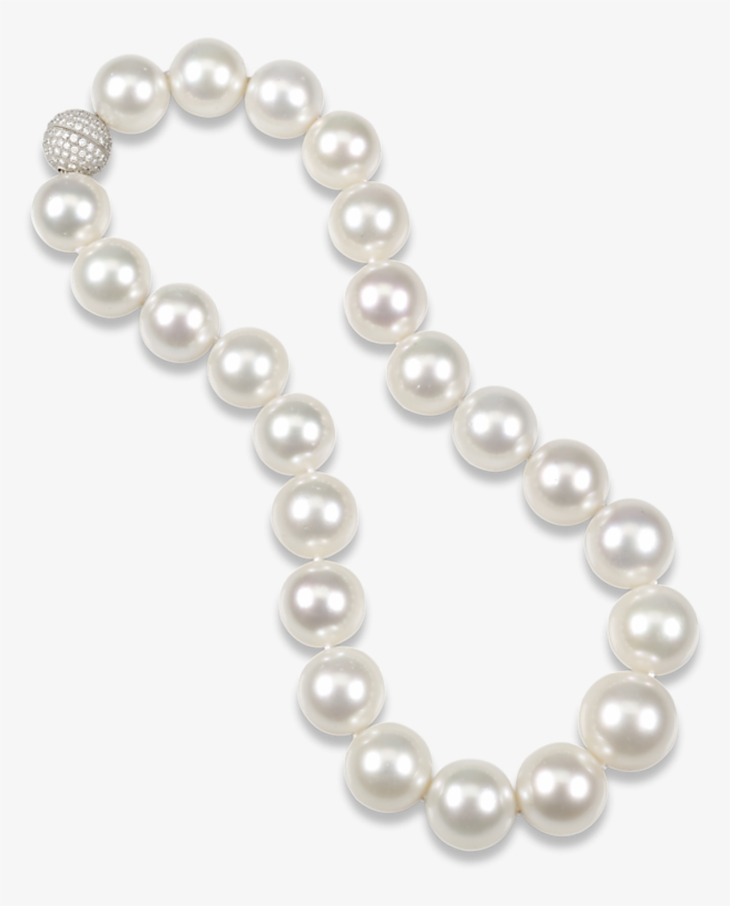 White South Sea Pearl Necklace - Necklace, transparent png