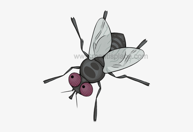 Small Order Approximately 100 Pupae - Small Fly Cartoon, transparent png