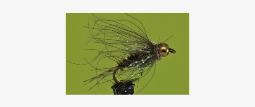 Pheasant Tail Lil' Spanker - Ichneumonoidea, transparent png