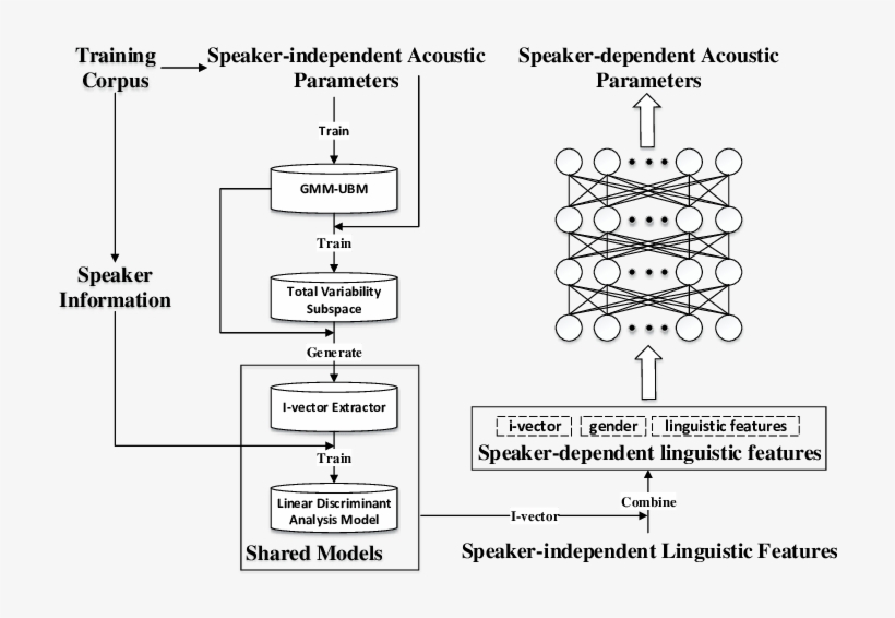 The Average Voice Model Framework Used In This Work, - Feature, transparent png