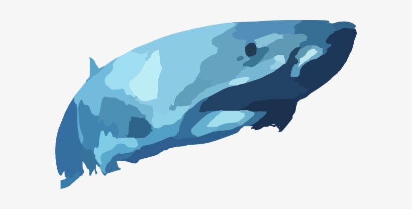 Great White Shark Clip Art - Free Shark Vectors Transparent, transparent png