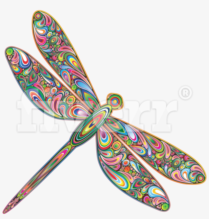 10 Images Cut Out, Deep Etch,silhouette,pure White - Net-winged Insects, transparent png