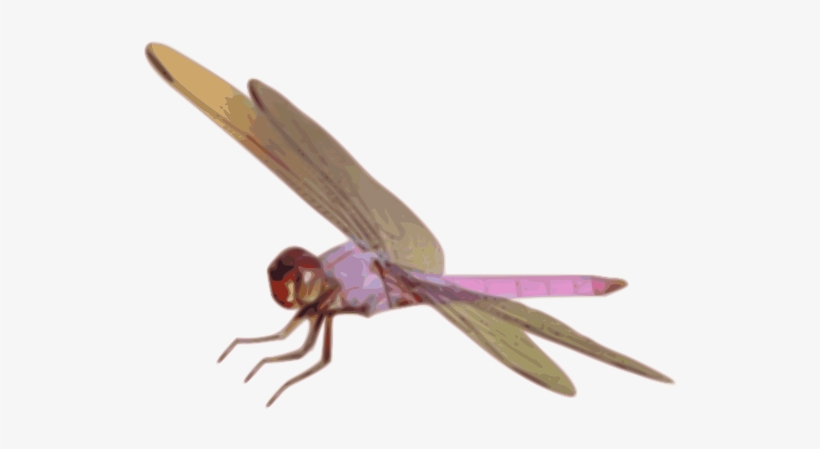 Free Dragonfly Free Dragonfly - Clip Art, transparent png