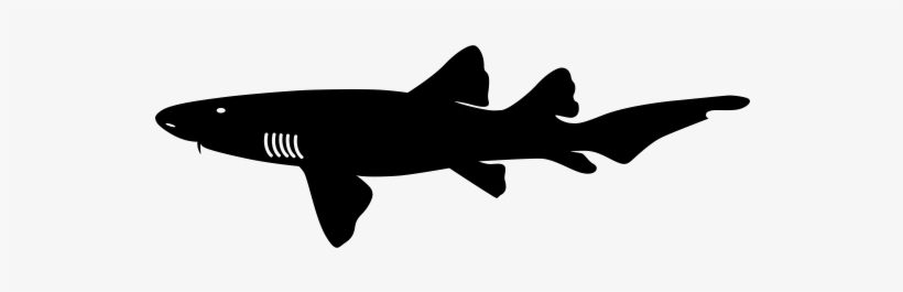 Nurse Shark Rubber Stamp - Great White Shark, transparent png