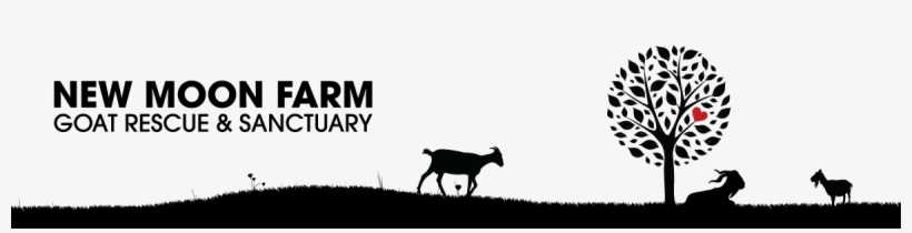 New Moon Farm - New Moon Farm Goat Rescue And Sanctuary, transparent png