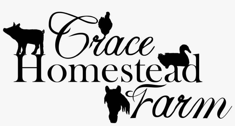 Grace Homestead Farm - Kaisercraft Rub-on Word-moments, transparent png