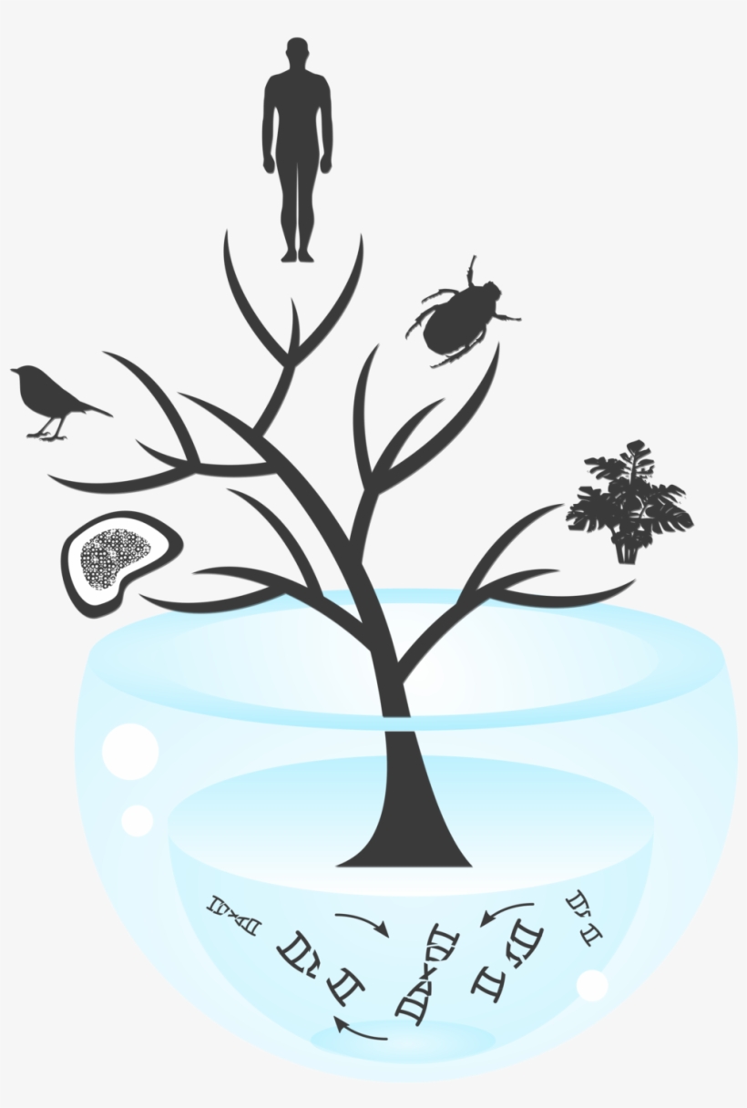 At The Root Of The Tree Of Life - Horizontal Picture Of Origin Of Life On Earth, transparent png