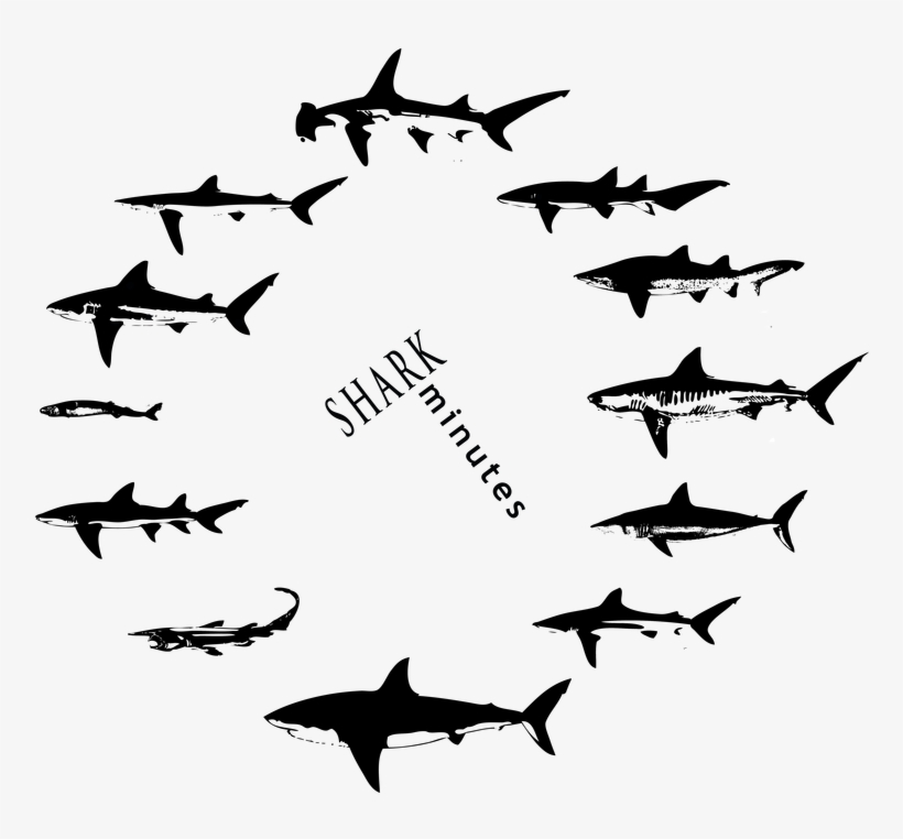 The Updated Shark Minutes Logo And T-shirts Are Here - Jaws, transparent png
