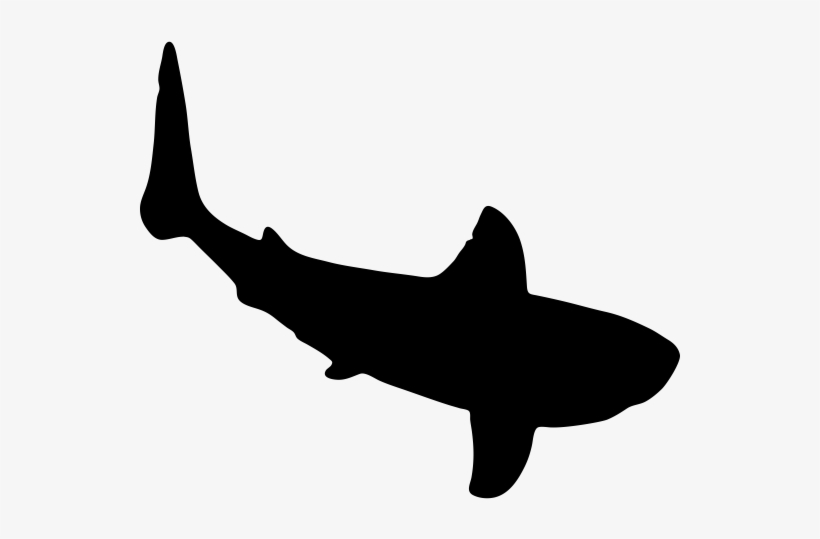 Shark Rubber Stamp - Braselton, transparent png