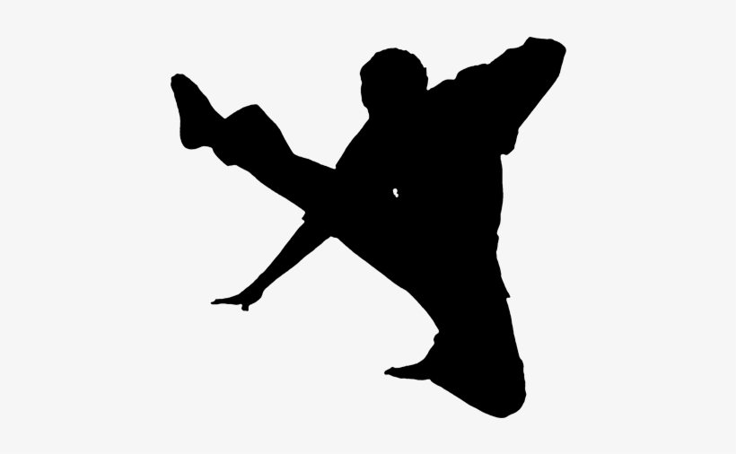 Martial Arts Silhouette Png, transparent png