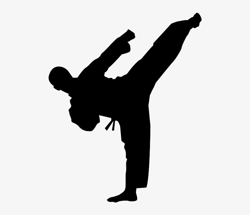 Karate Kick Png Photo - Karate Silhouette, transparent png