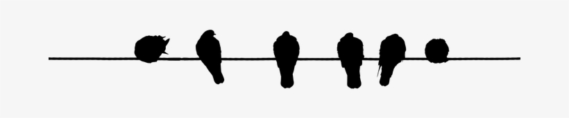 Animals Birds Cable Silhouette Wire Birds - Bird On Wire Png, transparent png