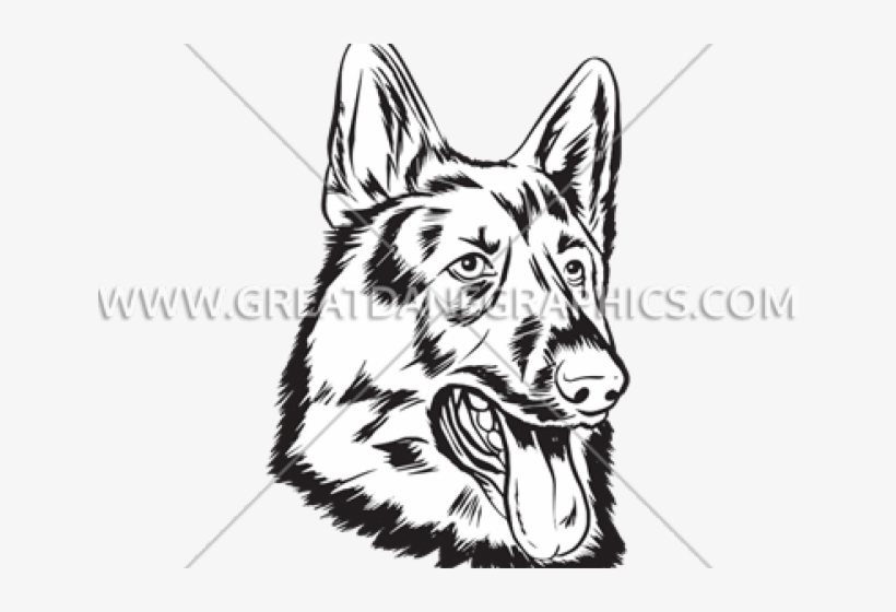 Drawn German Shepherd Face - German Shepherd, transparent png