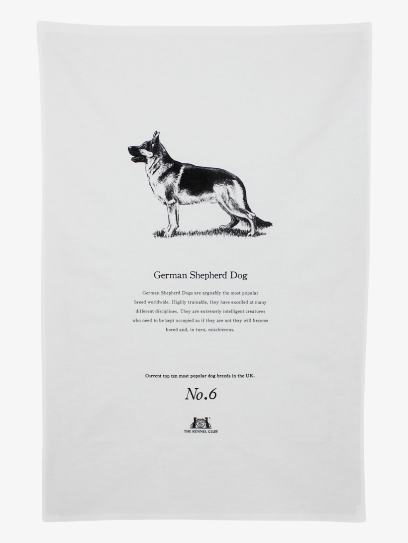Official Crufts & Kennel Club Cushion German Shepherd, transparent png