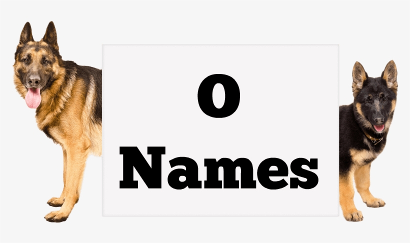 Girl Names - Quick And Easy Quinoa Recipes [book], transparent png