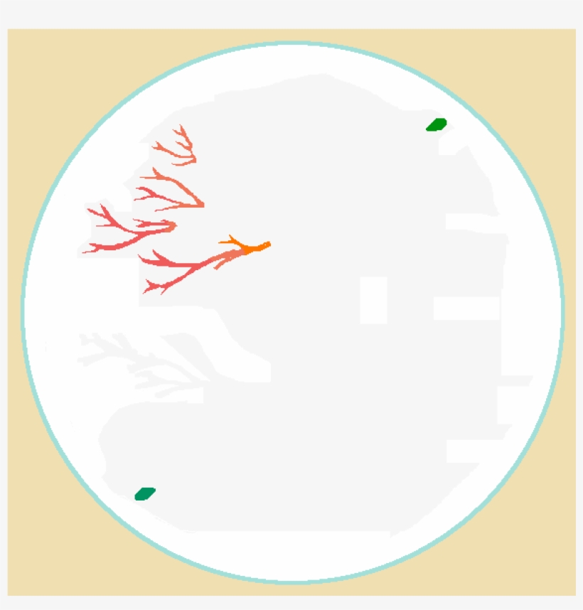 Https - //ctl - S6img - Com/society6 700/prints/~artwork/s6 - Circle, transparent png