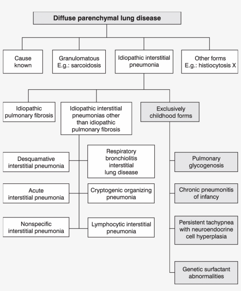 Consensus Of The American Thoracic Society/european - Colorfulness, transparent png