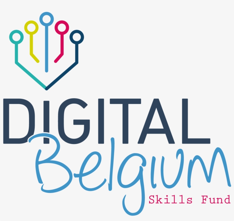 Dli Awarded By Digital Belgium Skills Fund - Digital Belgium Skills Fund, transparent png