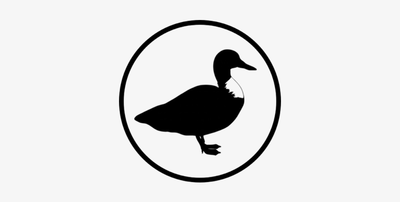 Duck Rowing - Duck For Logo Png, transparent png