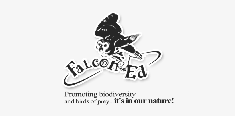 Faucon-éduc - Logo Birds Of Prey, transparent png