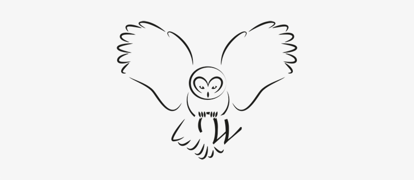 Willows Bird Of Prey Centre - Simple Drawings Of Owls, transparent png
