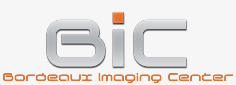 Logo Bic - Orange, transparent png