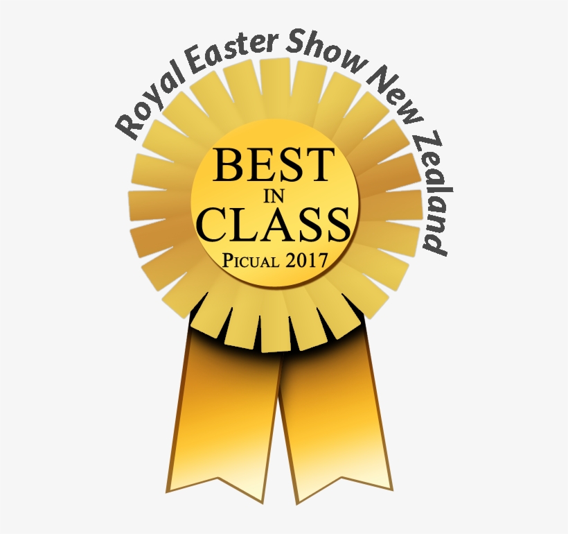 Royal Easter Bic - Dr. Rafael Belloso Chacin University, transparent png