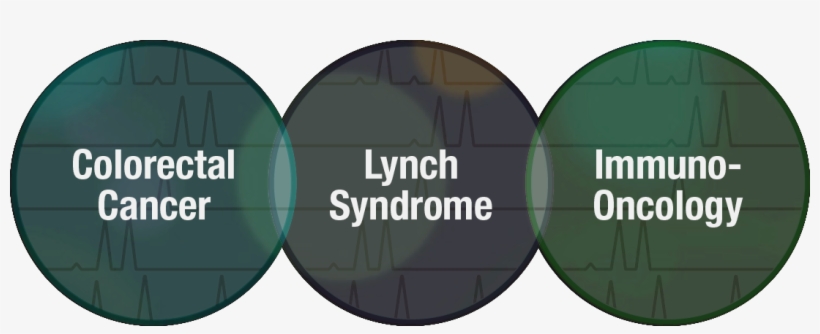 Msi Circles - Micro-star International, transparent png