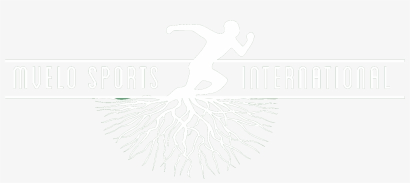 Msi Academy - Track And Field Athletics, transparent png