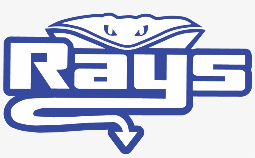 What To Wear - Stingray Allstars, transparent png