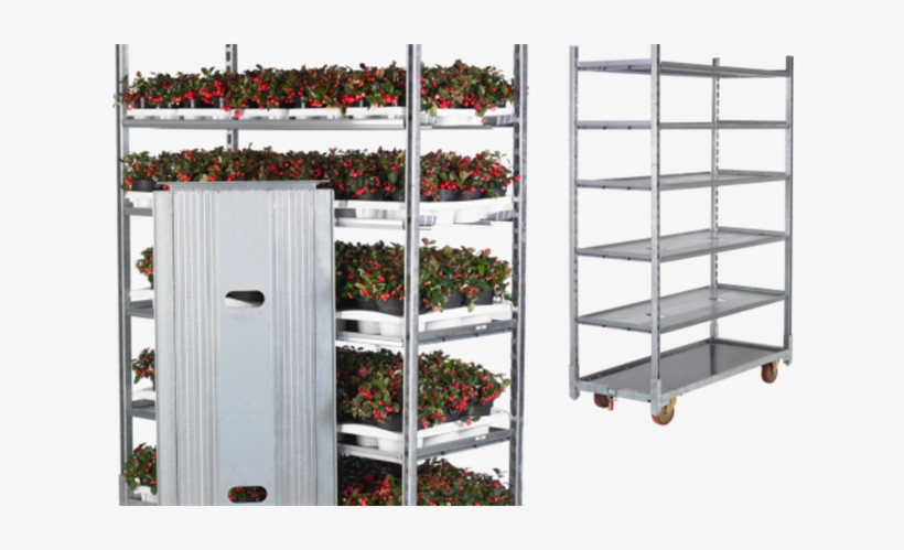 Horticulture Week, transparent png