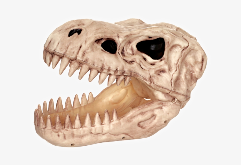 T-rex - Crazy Bonez T-rex Candy Bowl For Halloween Decoration, transparent png